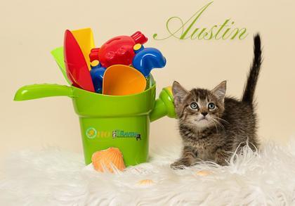 Austin