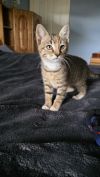 Matilda photo 2