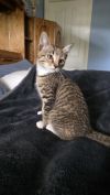 Matilda photo 4
