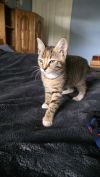 Matilda photo 5
