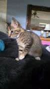 Matilda photo 6