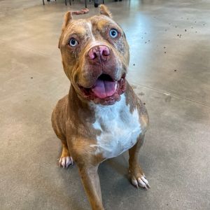 Photo of Hennesy