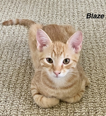 Blaze
