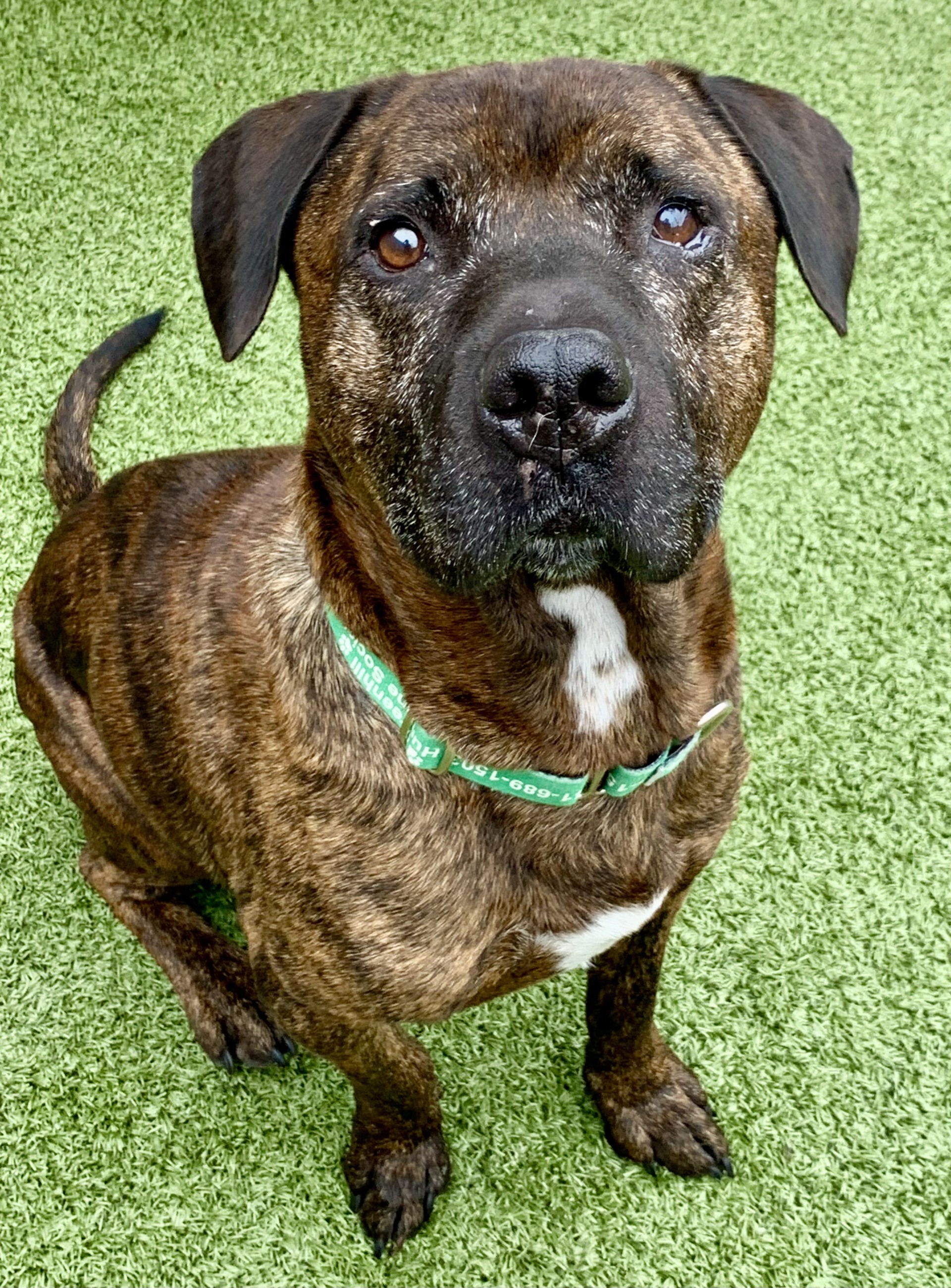 Zeus