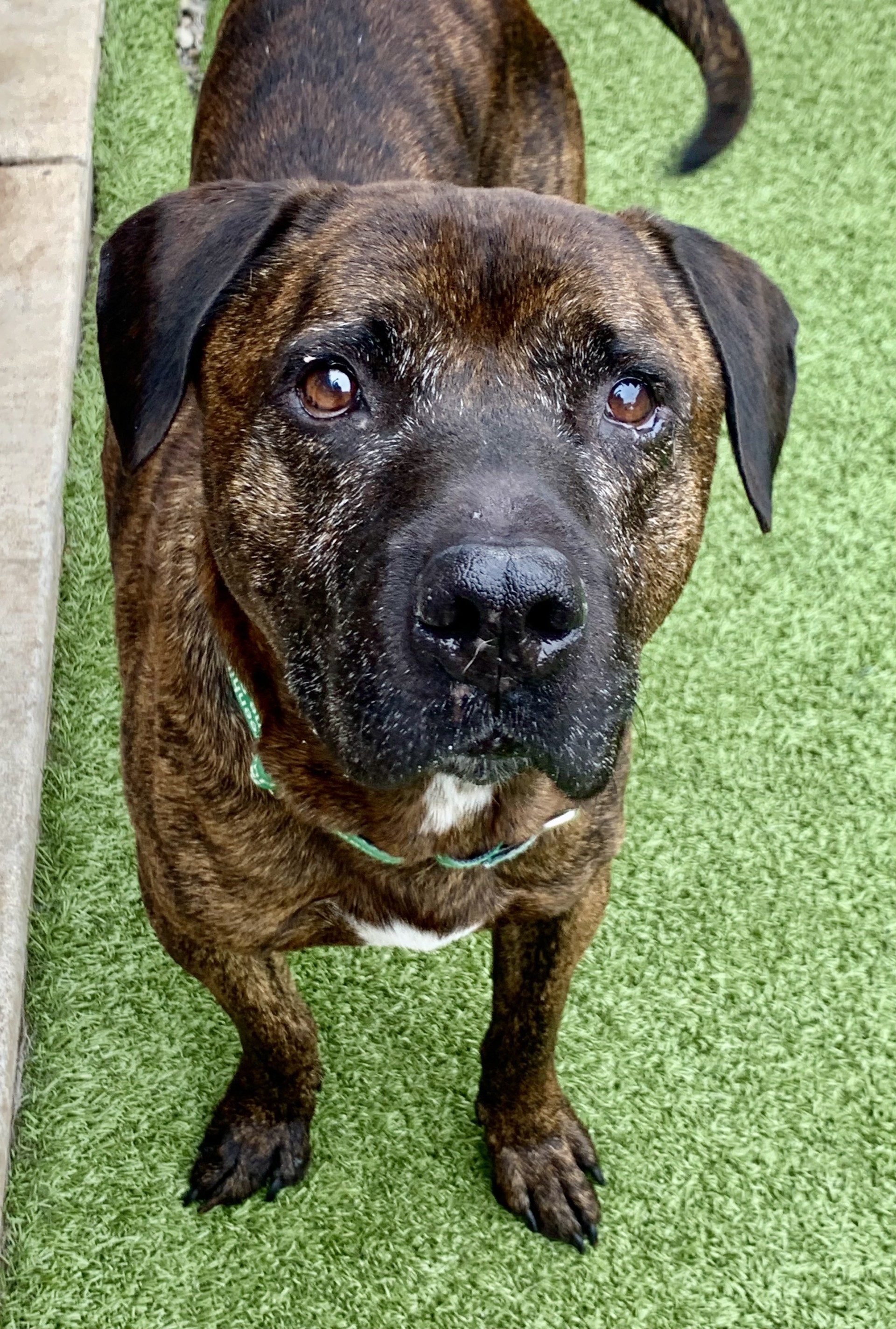 Zeus