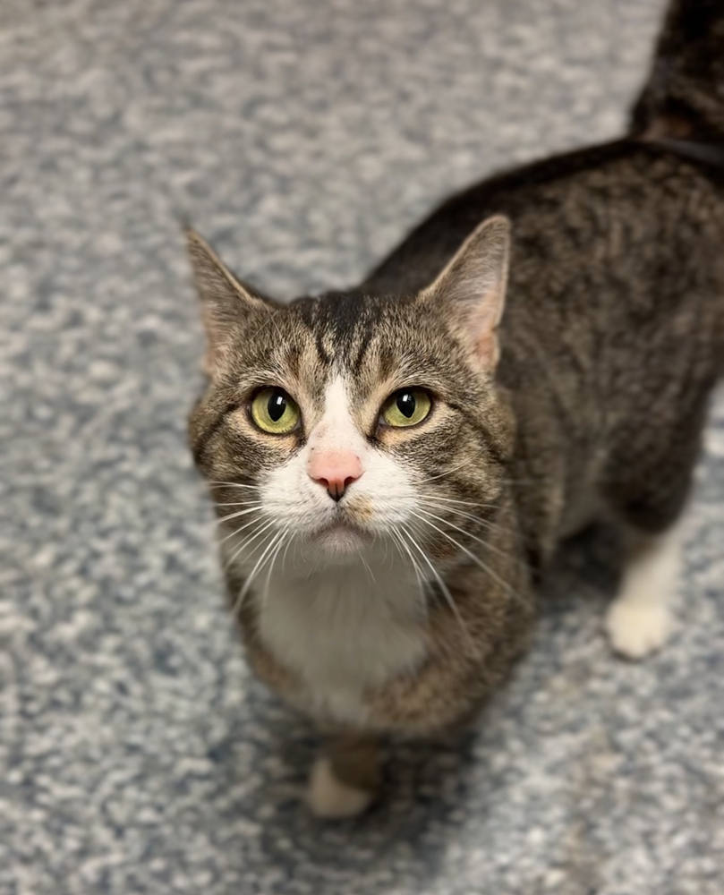 Tom