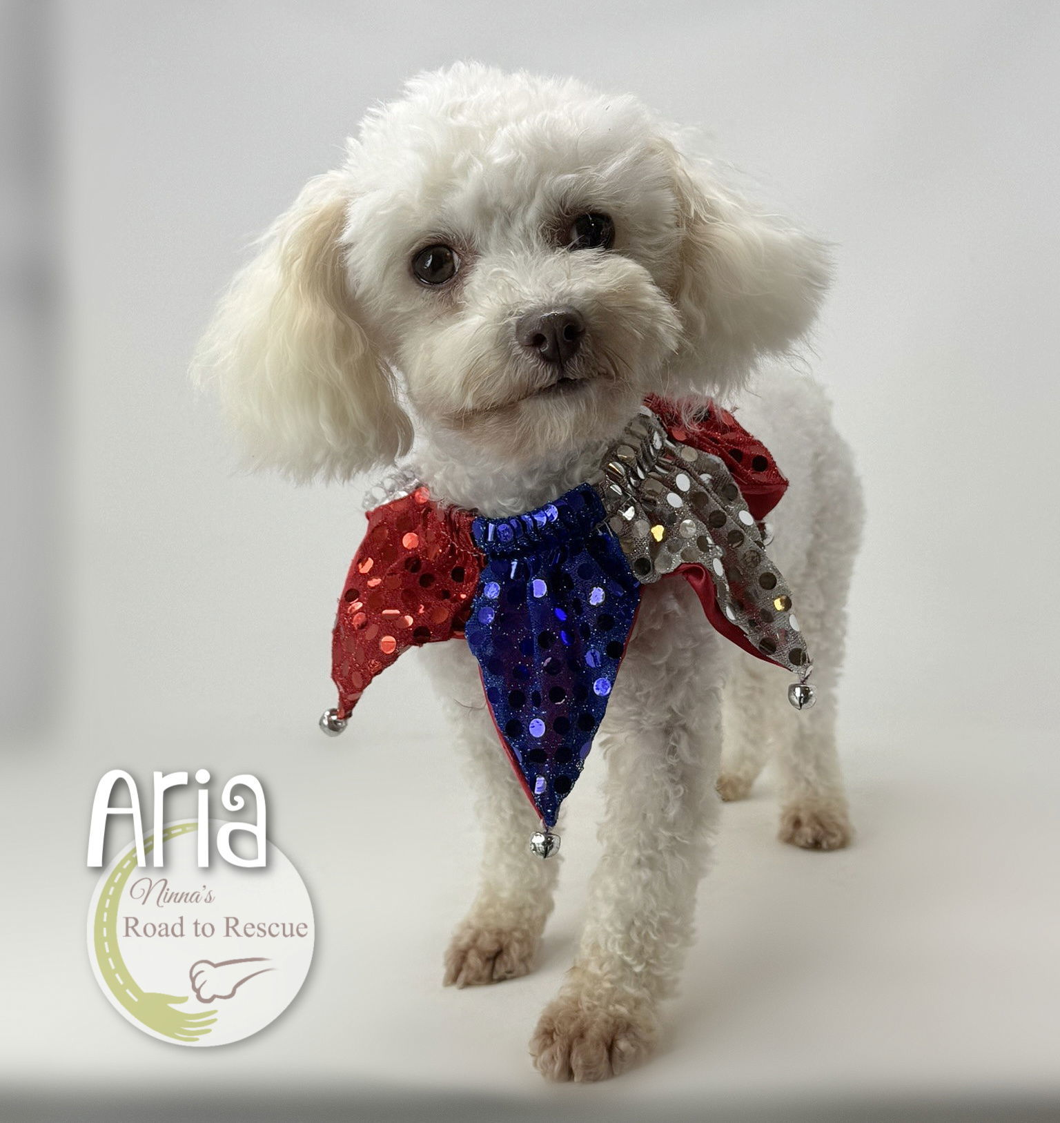 Aria