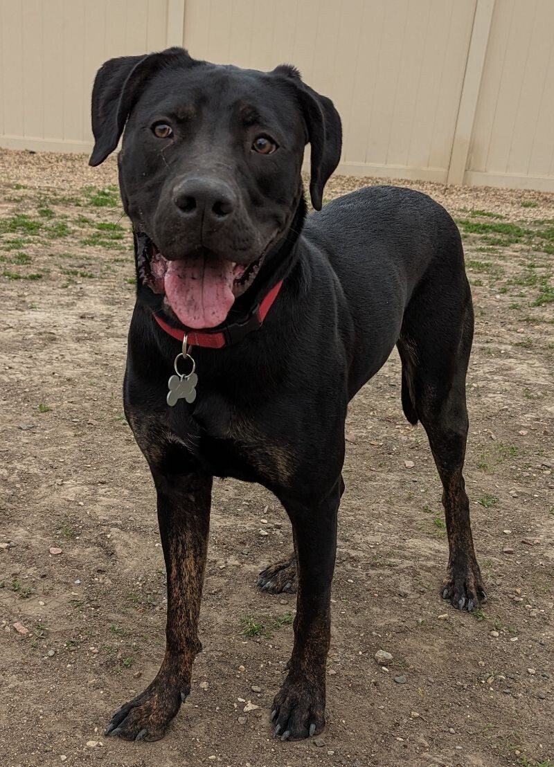 Nash