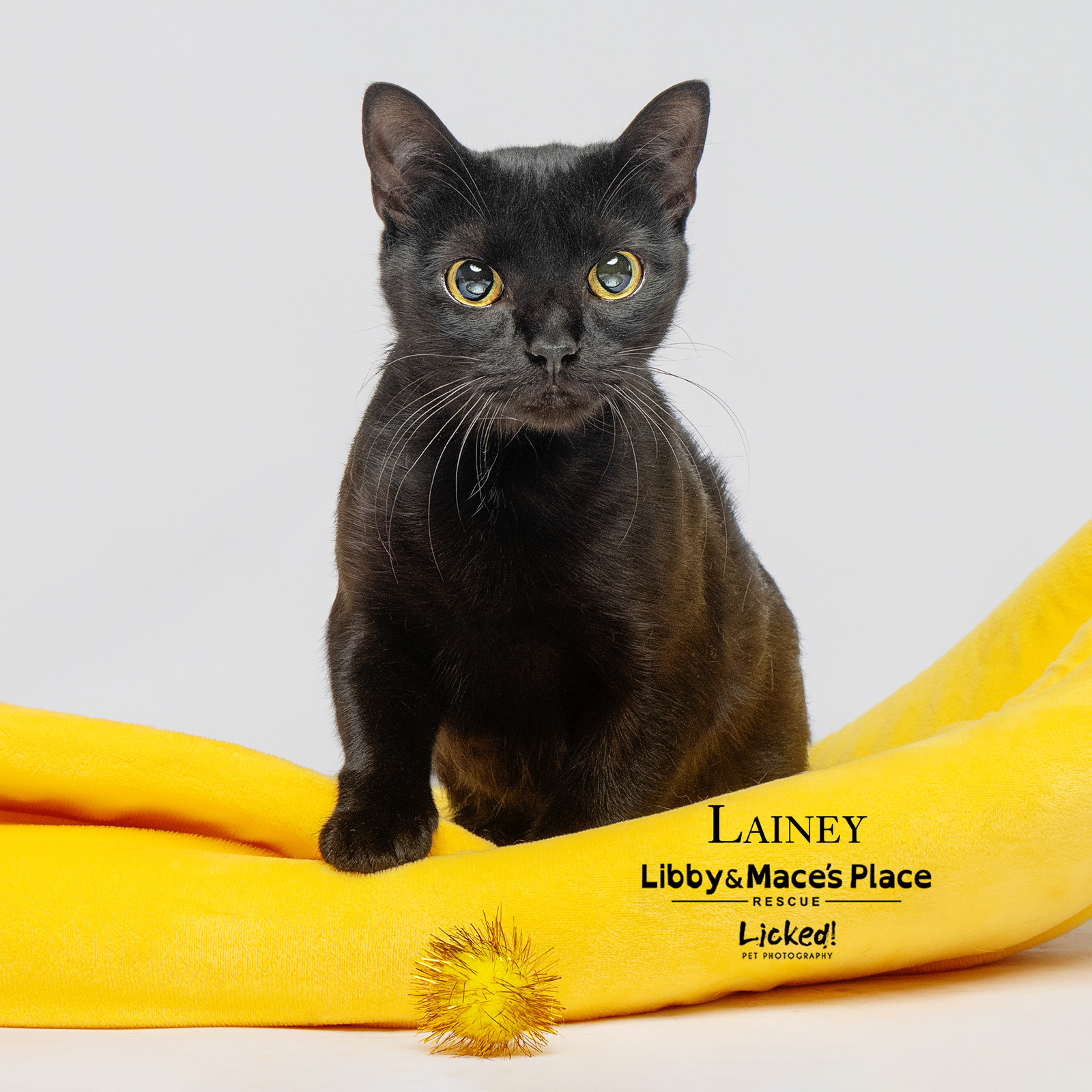 Lainey