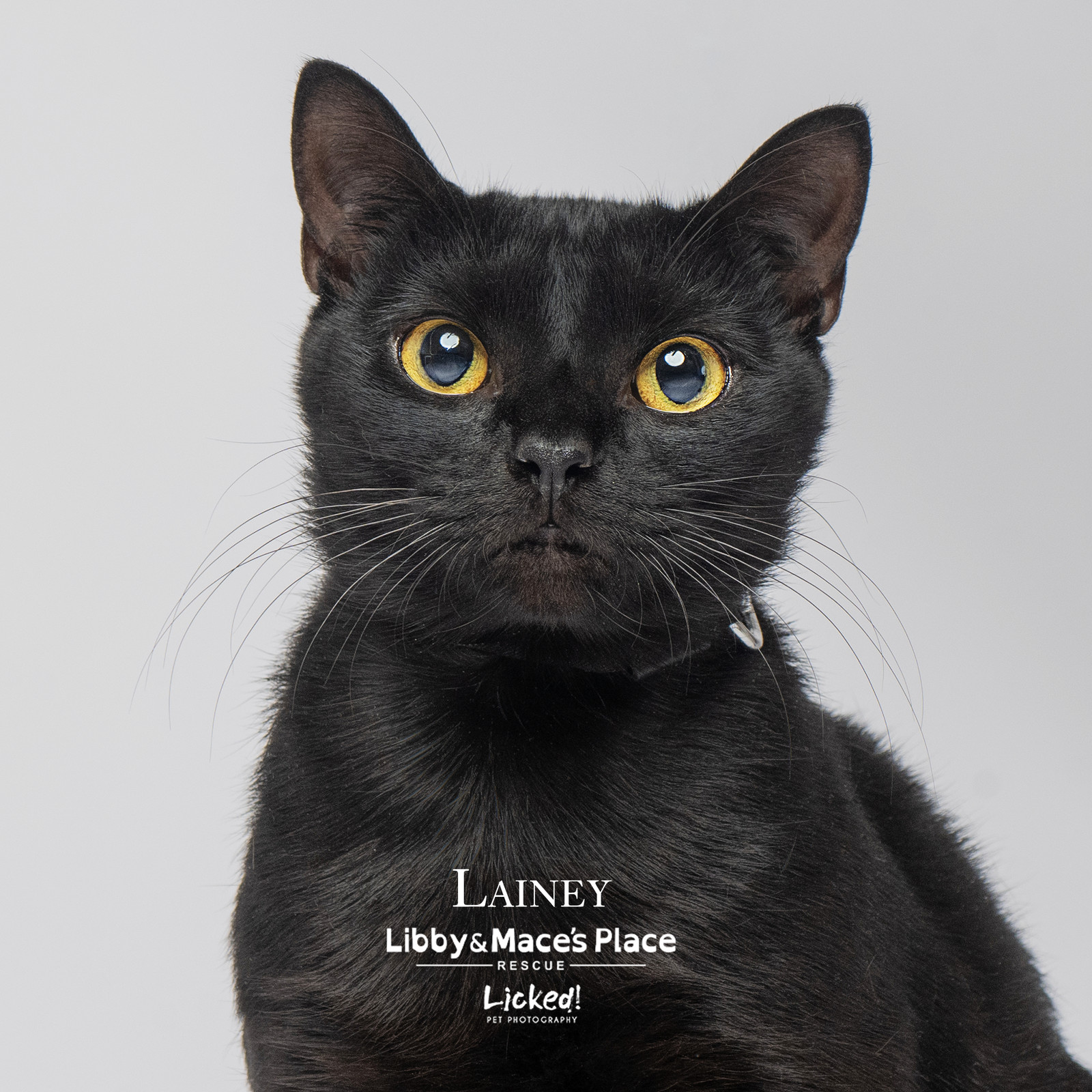 Lainey