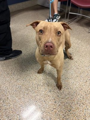 Hi Im Loba A2702546 Im a soft sweet girl whos still learning to feel confident When I first j