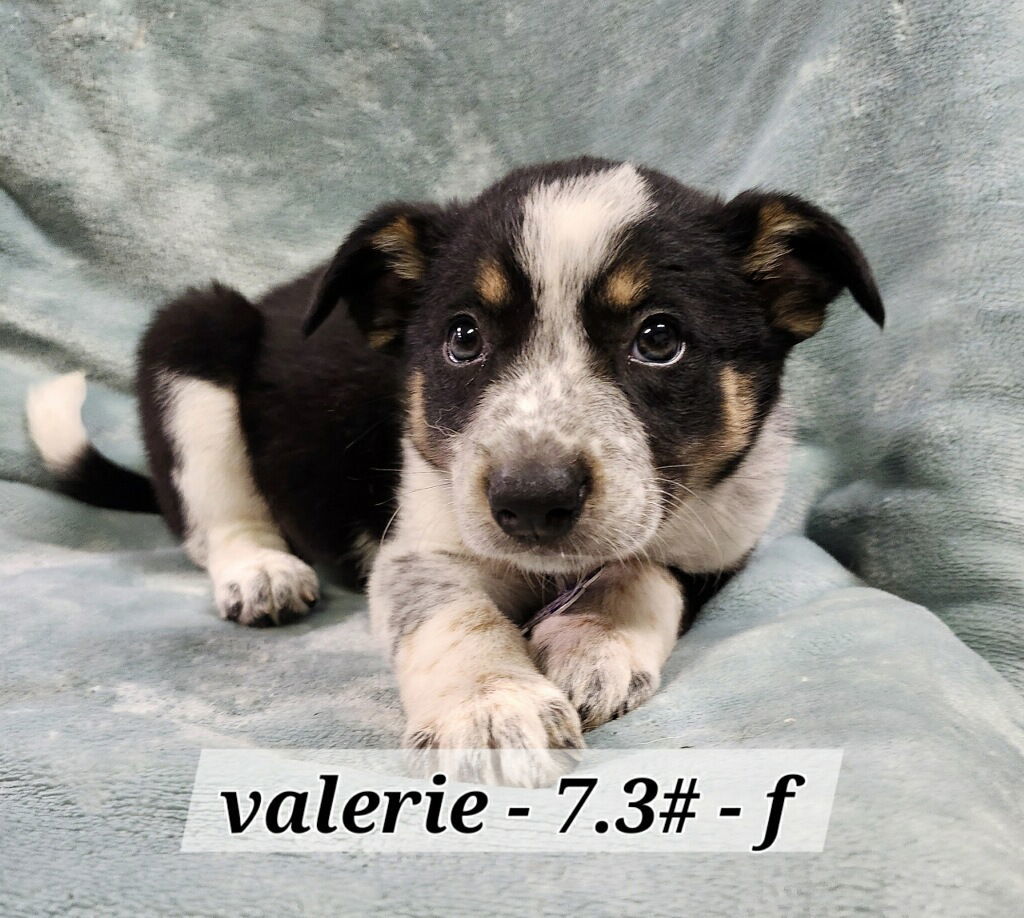 Valerie