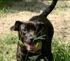 PeeWee photo 2