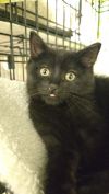Stitch photo 1
