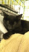Stitch photo 2