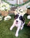 Hope photo 7