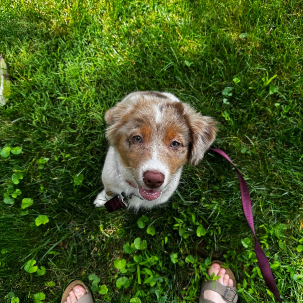 Millie