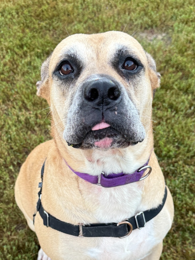 Lilah