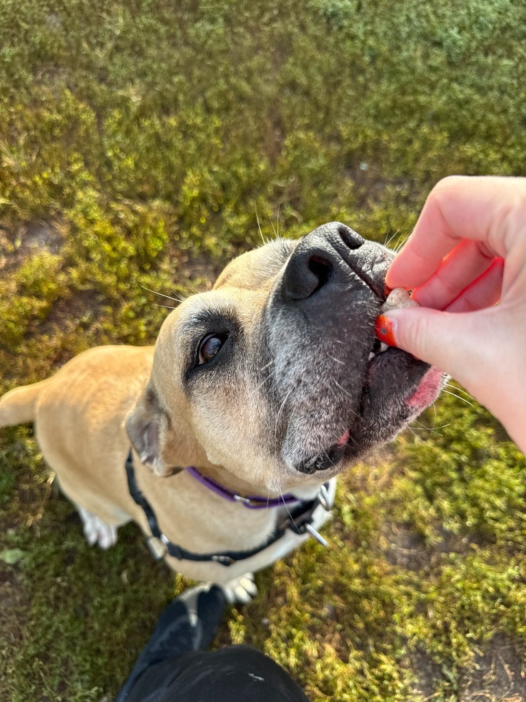 Lilah