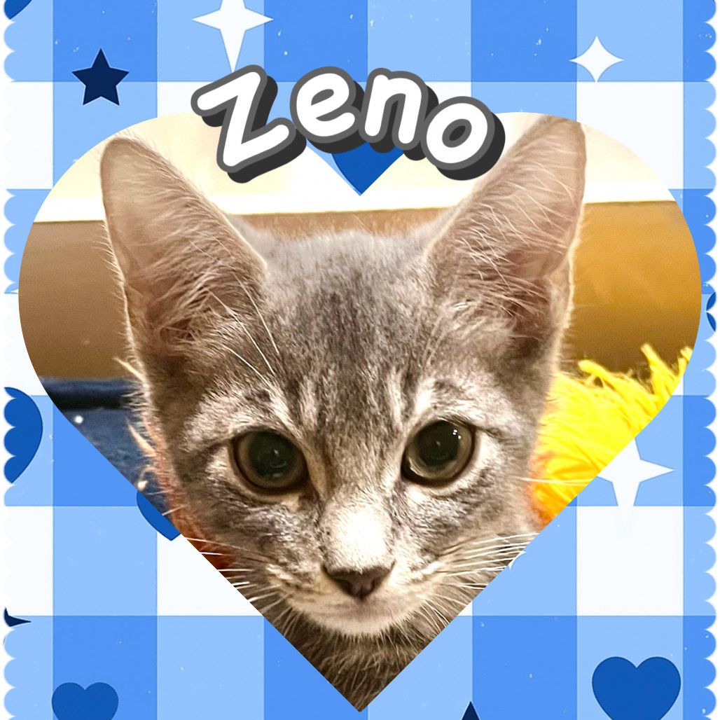 Zeno