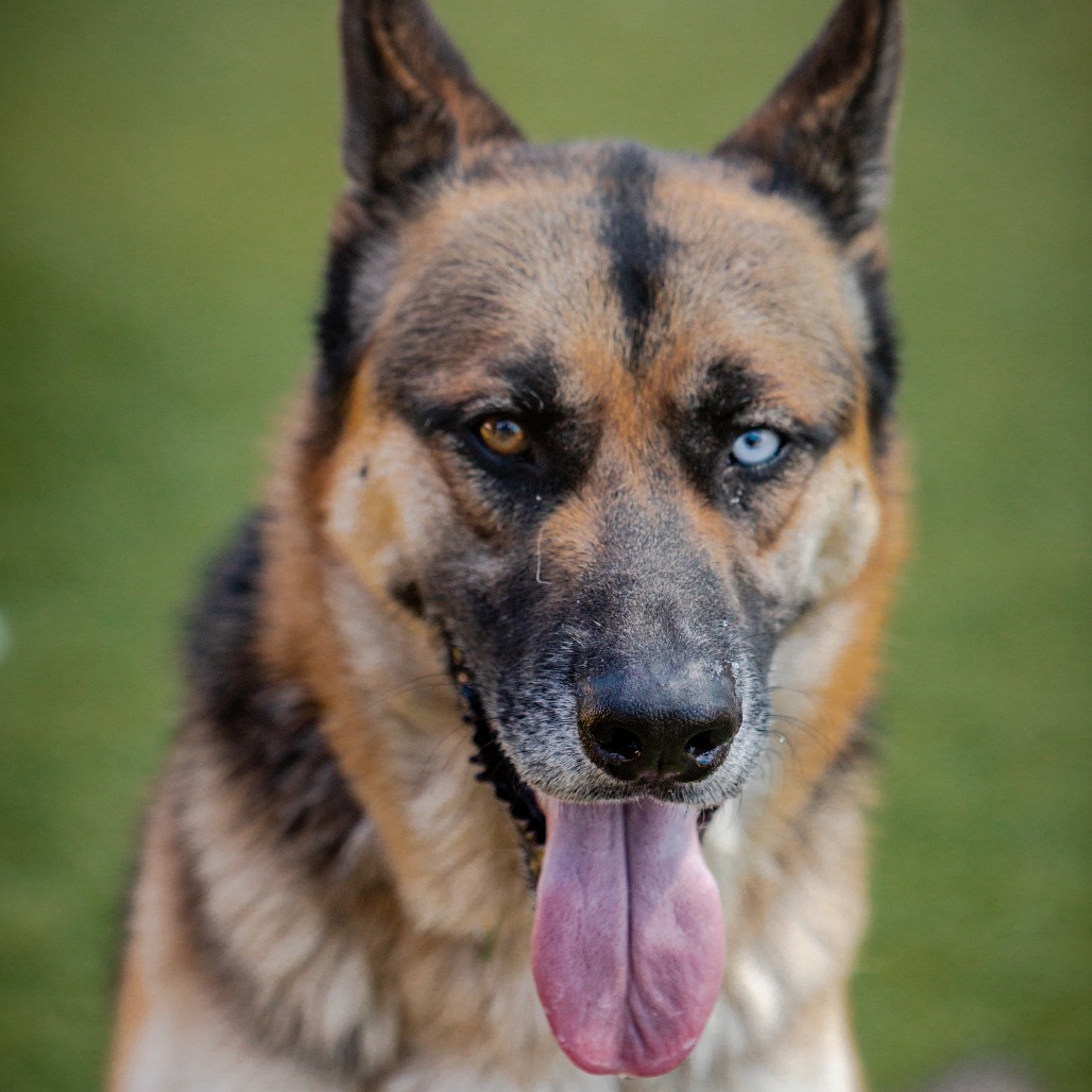 Courage A2126387