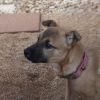 Fiona photo 4