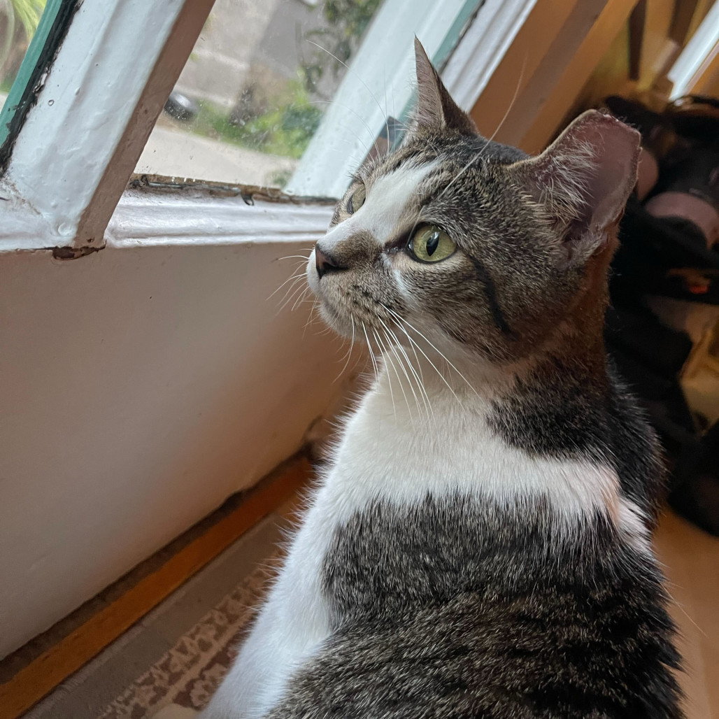 Sophia