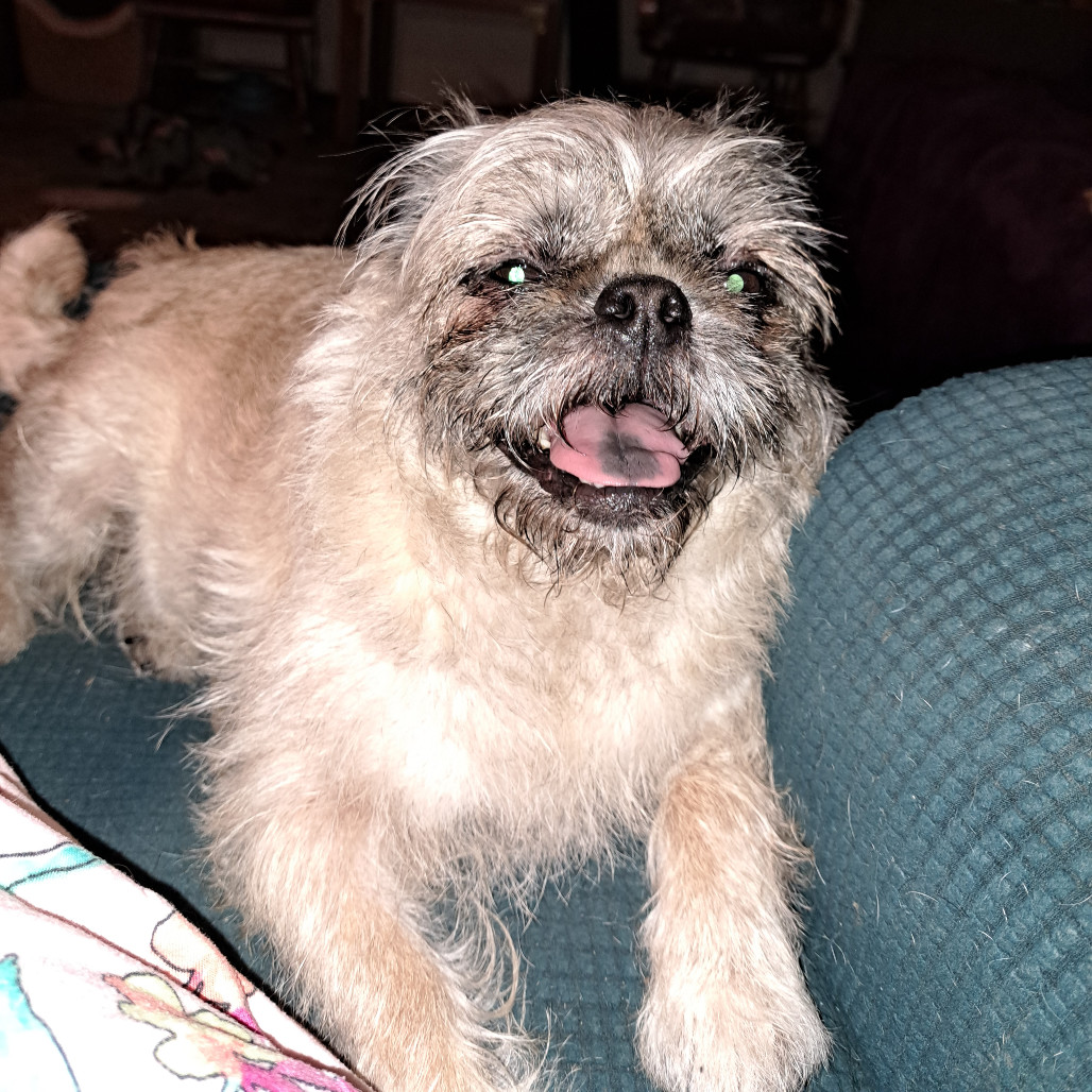 Coco