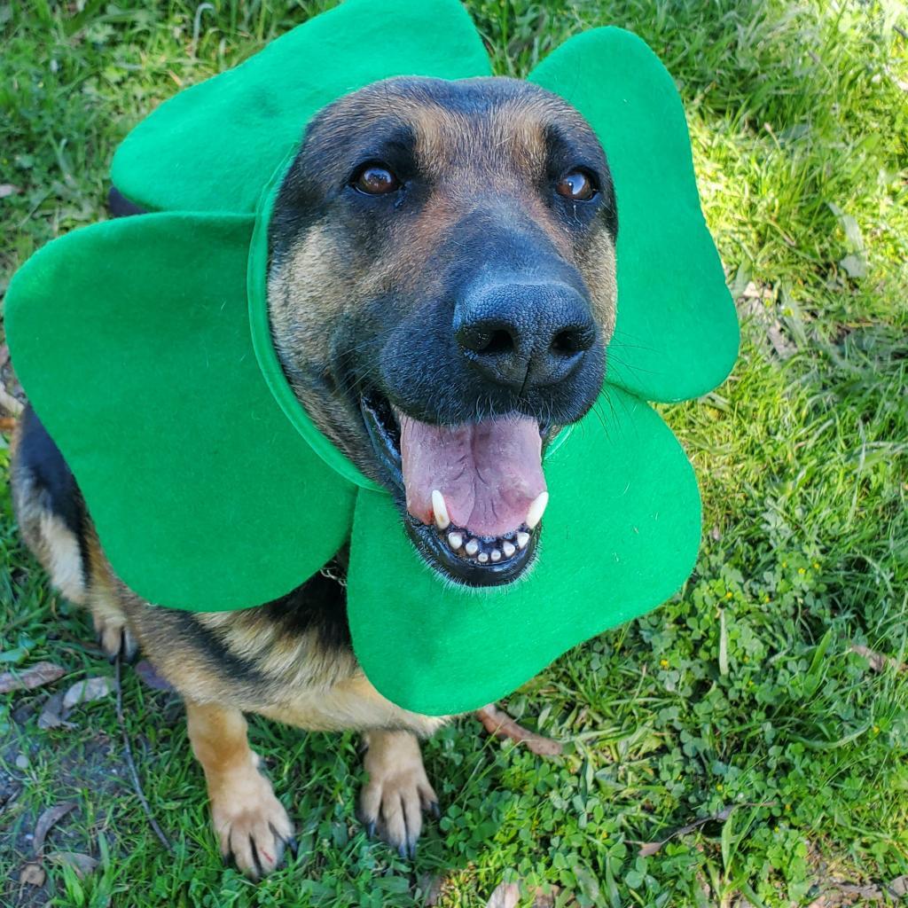 Mona (Len's Dog)