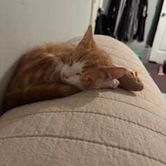 Archie