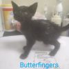 Butterfingers photo 3