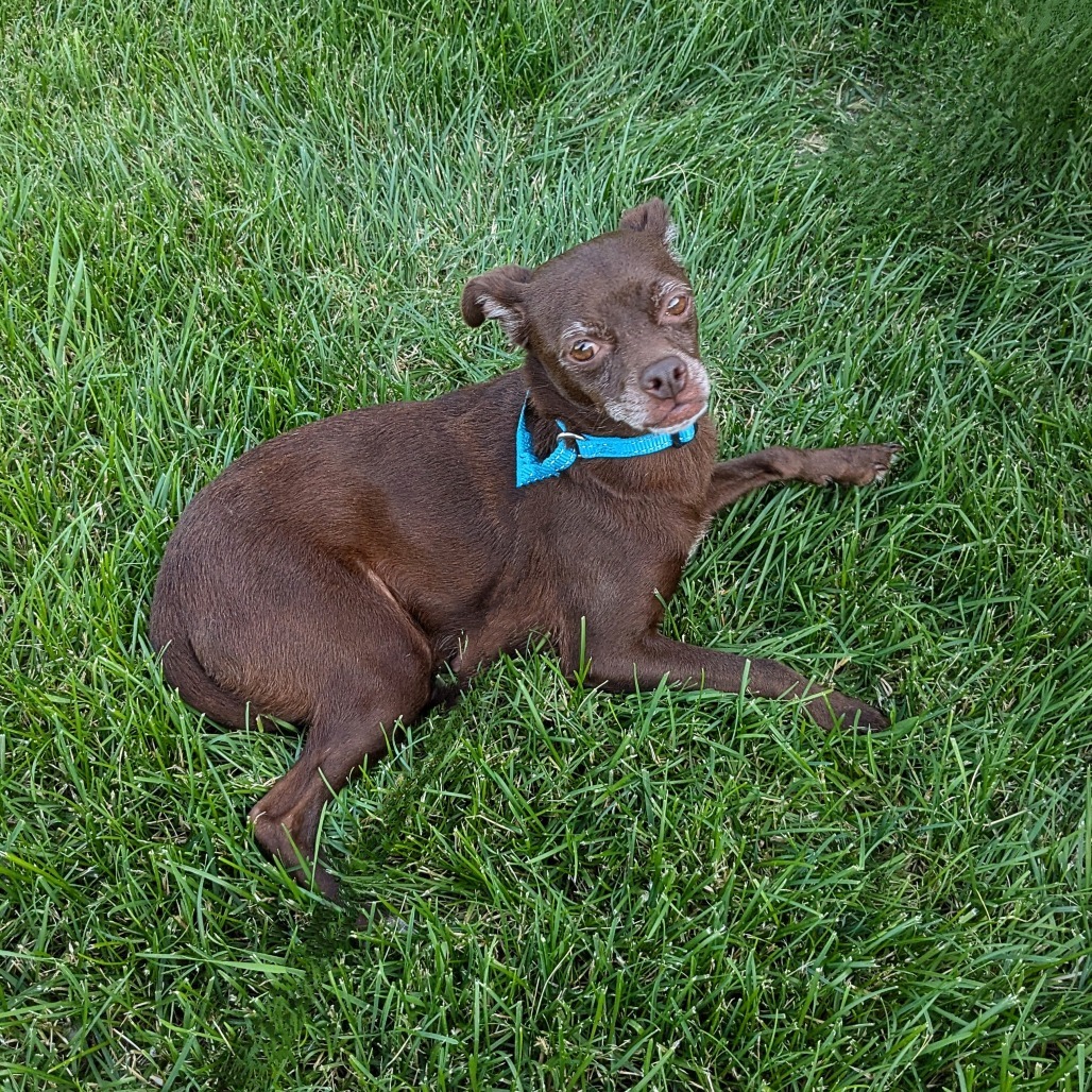 Nora