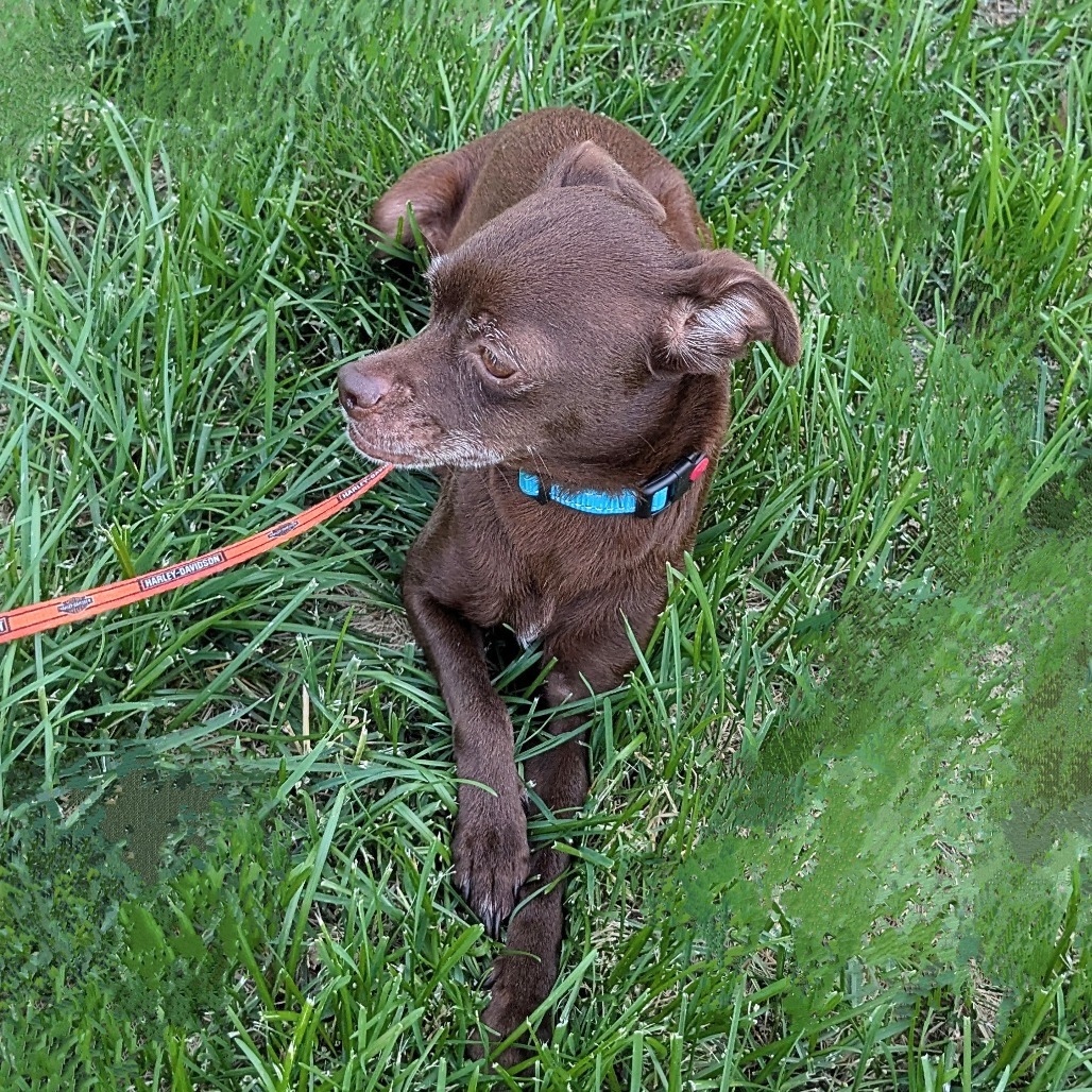Nora
