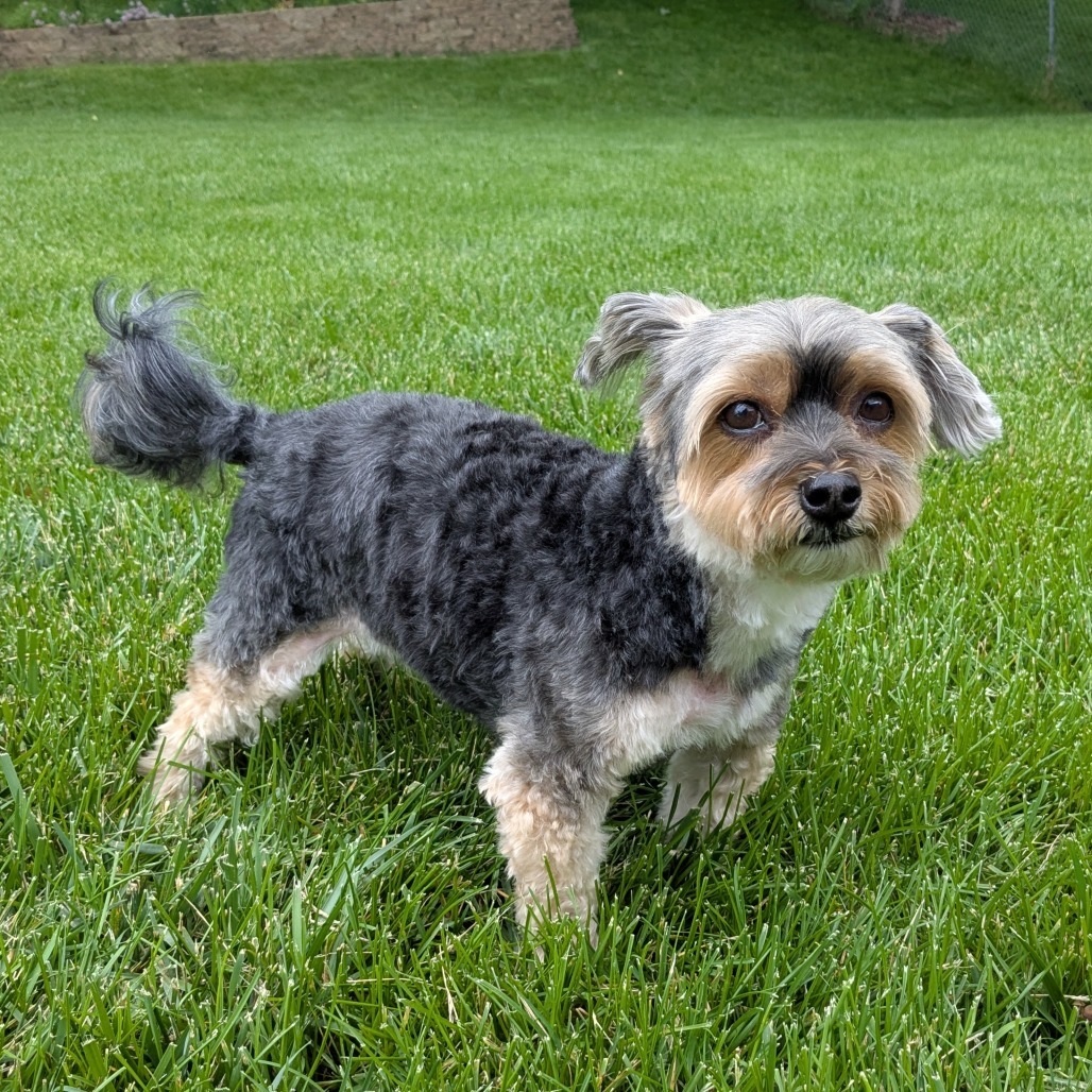 Annie