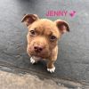 Jenny photo 1