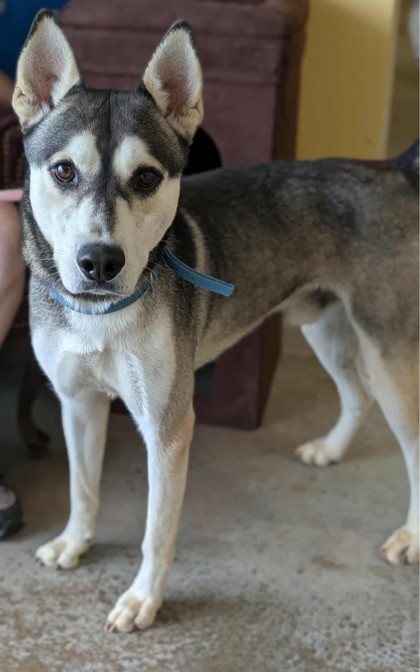 Axel