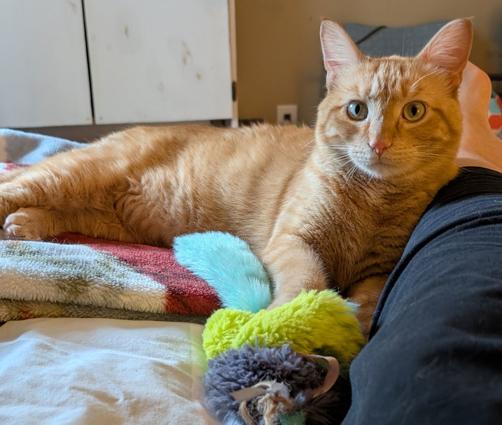 Circus Peanut