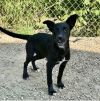 STELLA photo 1