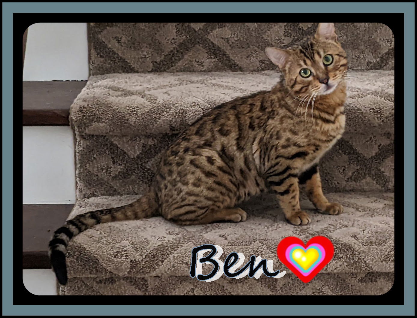 BEN (CP)