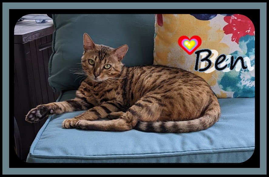 BEN (CP)