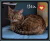 BEN (CP) photo 3