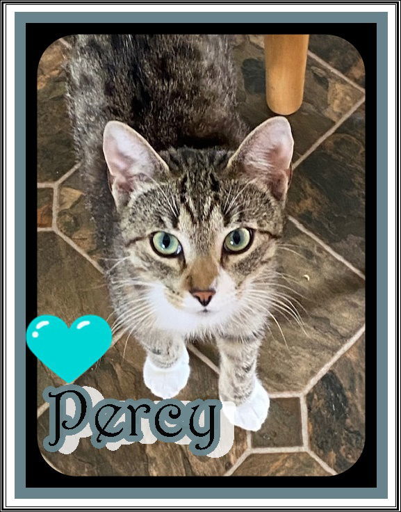 PERCY