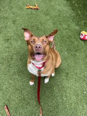 My foster writes Dont let the grandma name fool you Mable is a lively girl with so much curiosity