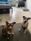 Mable photo 2