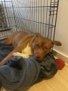 Mable photo 4