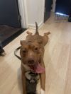 Mable photo 5