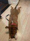 Mable photo 6