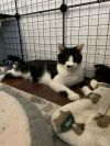 Fiona photo 2