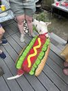 Summer Lovin&#39; photo 2