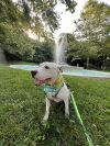 Summer Lovin&#39; photo 3